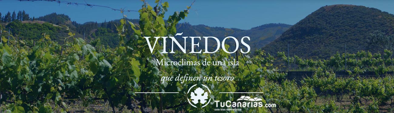 Vinos Las Tirajanas TuCanarias.com
