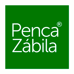 Aloe Penca Zabila