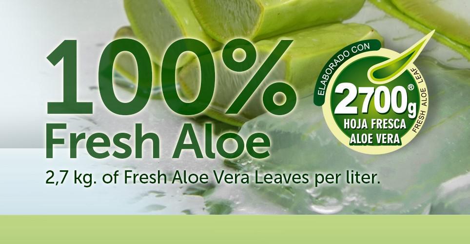 aloe vera gel uso interno