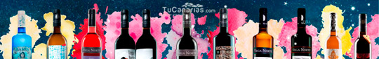 Vega Norte La Palma wines TuCanarias.com