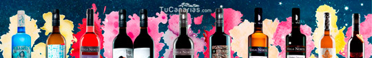 Vinos Vega Norte Tu Canarias.com