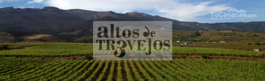 Viñedos Vinos Altos de Trevejos