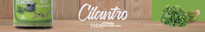 mojo-cilantro-tucanarias