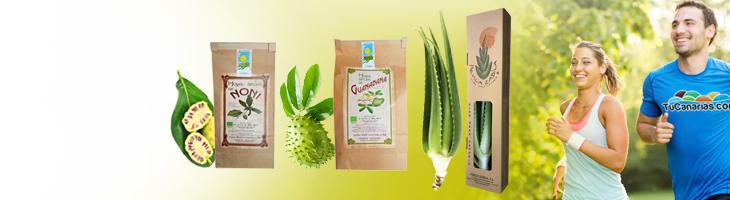 Hojas Aloe, Guanabana y Noni de Canarias