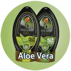 Aloe Vera
