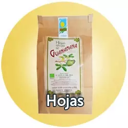 Hojas