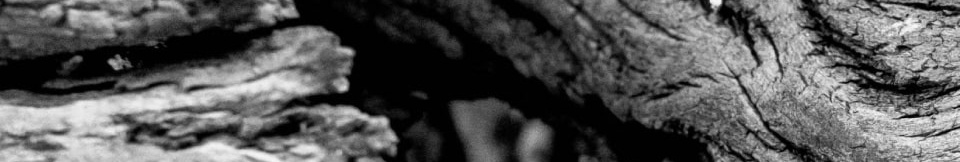 Ron Artemi reserva TuCanarias