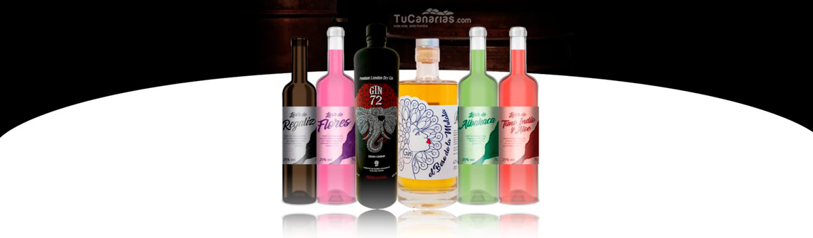 GIN 72 Ginebras y Licores