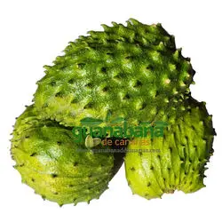 1 Kg Soursop Graviola Fruit Organic Vacum packed