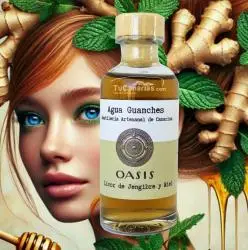 Licor Oasis Jengibre y Miel GIN72 artesano 100ml