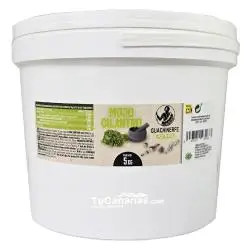 Mojo Cilantro Guachinerfe 5 Kg Horeca