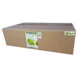 1 Kg Hojas de Guanabana BIO Canarias Ecologica - Secado Natural